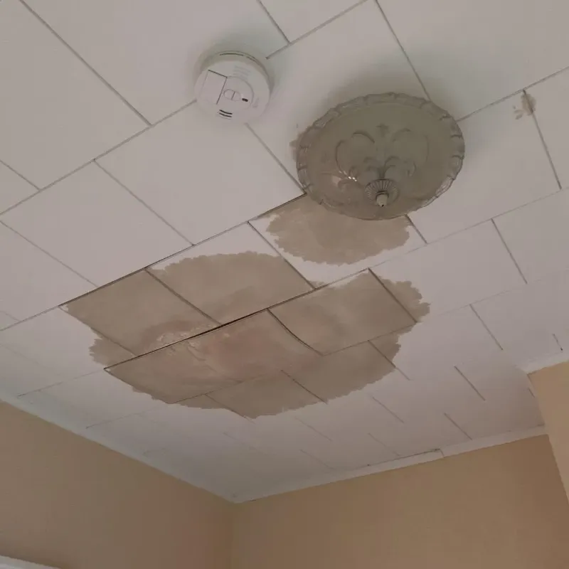 Ceiling Water Damage Repair in Grant County, NE