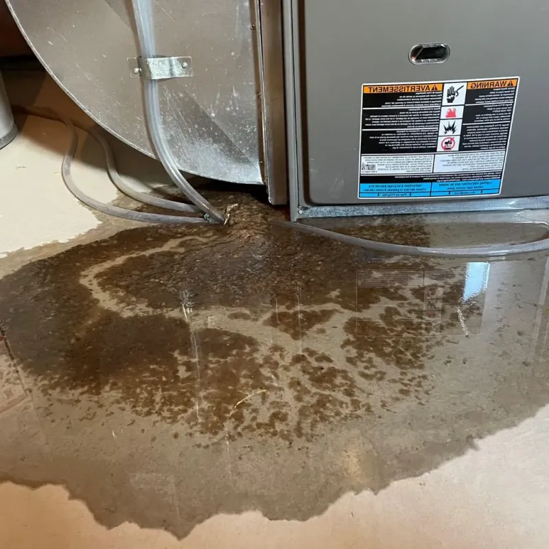 Pipe Burst and Leak Restoration in Grant County, NE