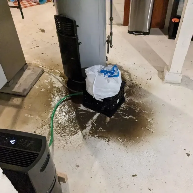 Sewage Backup Cleanup Service in Grant County, NE